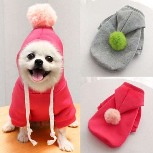 Pet Dog Clothes Cute Hair Ball Hoodies Puppy Cat Coat Cotton Soft Pullover Dog Shirt Jacket Sweatshirt Cat Hooded Pets Clothing