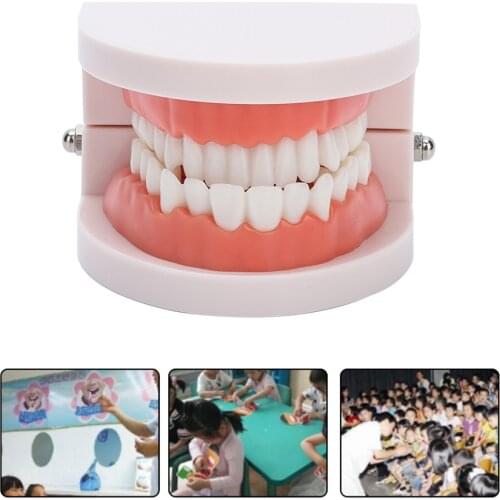 28 Pcs Standard Adult Teeth Denture Gums Model Medical Teaching Tool Carie Dental Small Oral Dental Health Care Equipment Model
