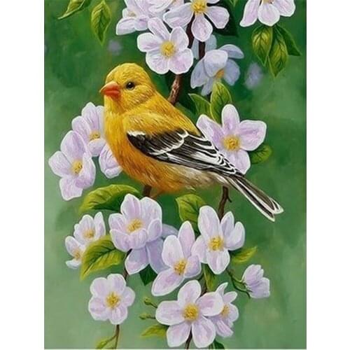 Bird Animal Printed Water-Soluble Canvas 11CT Cross-Stitch Embroidery Set DMC Threads Handiwork Handicraft Craft Jewelry
