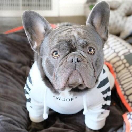 French Bulldog Dog Hoodies Ins Dog Spoof Hooded Jacket Pet Cloth Winter Sweatshirt Plush Fleece Dog Sweater Pet Sports Clothes