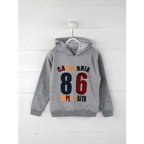Gray Seasonal Male Child Sweatshirt