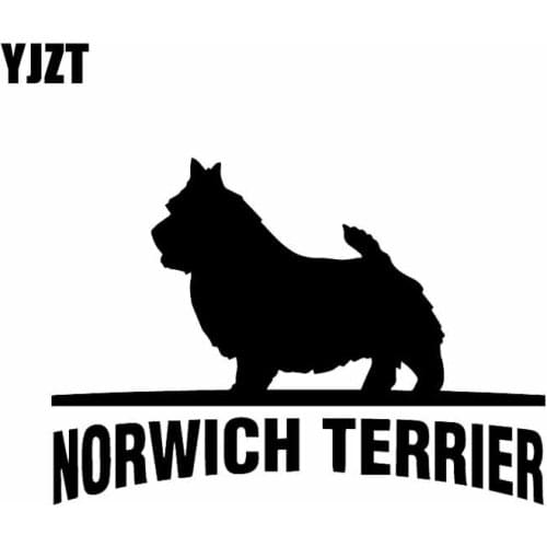 YJZT 15X10.6CM Norwich Terrier Vinyl Decal Car Sticker Funny Pet Dog Breed Black/Silver C24-1536