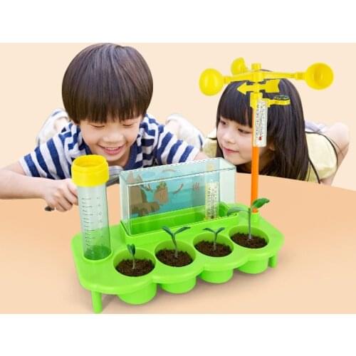Plant Cultivation Test Tube Toy Children Science Experiment Flower Meteorology Montessori Teaching Aids Educational Toy For Kids