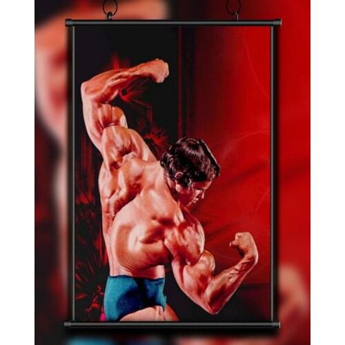 55 Custom Poster Silk Home Deco Arnold Schwarzenegger Bodybuilding Strong Muscle Wall Art Christmas Gift