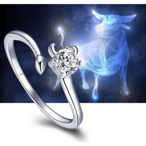 Korean style twelve constellation ring woman open zircon retro couple jewelry February 14 Valentines Day gift