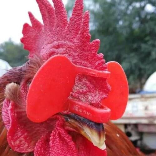 100 pcs Thrombolytic extra large chicken glasses double beam thrombolytic