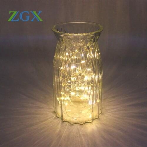 ZGX LED String Lights With Transparent Wire