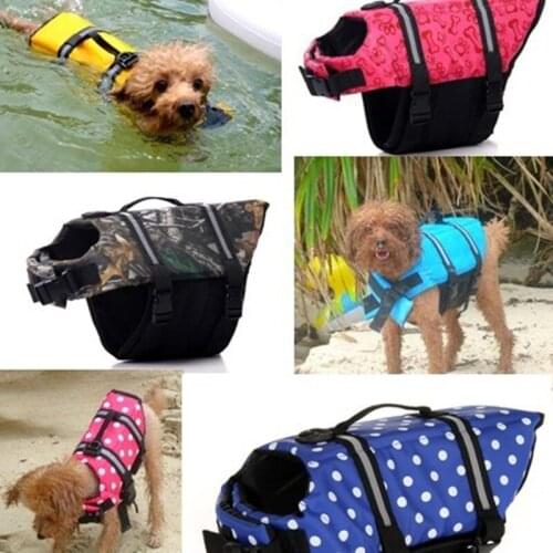 Dahomemon Pet Supplies