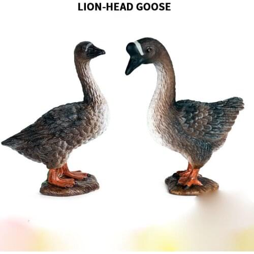 2pc/Set Children cognition solid simulation static animal model plastic toy goose poultry lion head goose scene decoration ornam