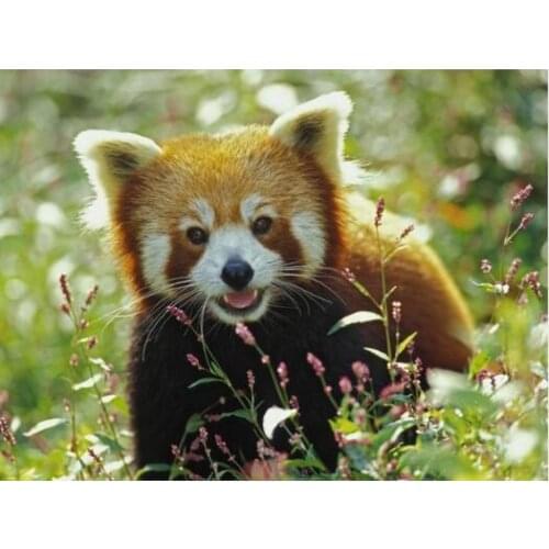Living room wall painting cute red panda wildflowers wall decoration fabric poster