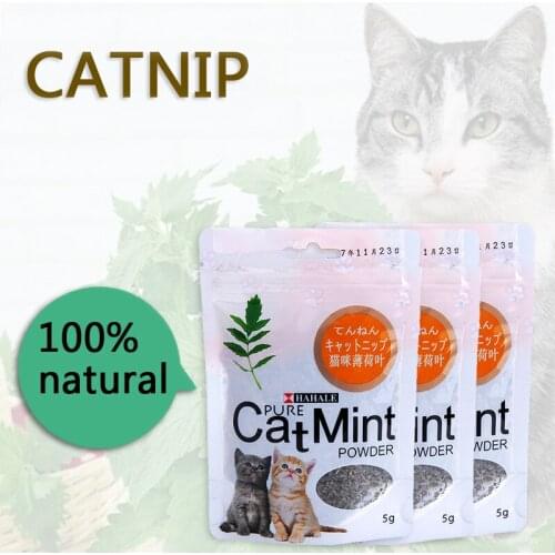 Hot 5G/bag Mint Catnip Cat Treats Menthol Flavor Premium Promotional Organic Funny Toy Cat Catnip