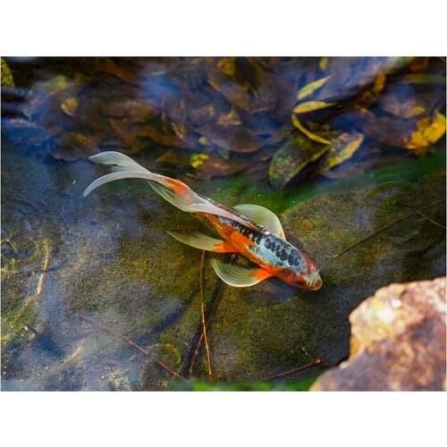 DIY Diamond Painting Full Diamond Round A Koi 30X40cm Cross Stitch Embroidery Home Decoration