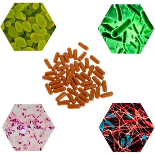 Aquarium Nitrifying Bacteria Super Concentrated Capsule Fish Tank Pond Cleaning Water Purifier Supplies