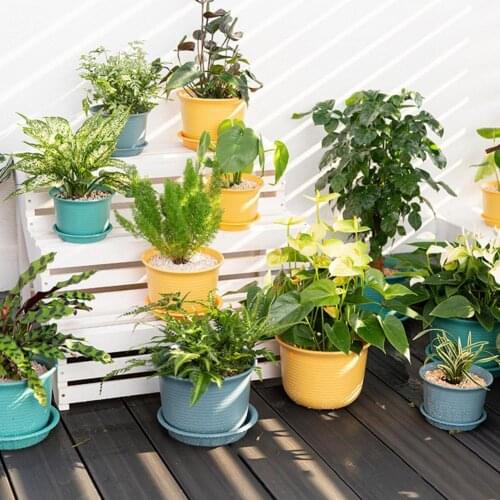 Long Lasting 1 Set Attractive Creative Ripple Pattern Flower Planter 3 Colors Succulent Planter Exquisite for Home