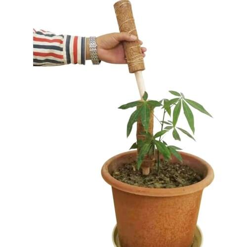 Coir Moss Stick Coir Moss Totem Pole For Creepers Plant Support Extension Climbing Indoor Garden Plants 50/60CM