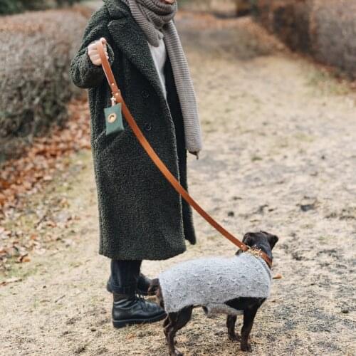 Pet Waste Felt Bag Dispenser For Dog Waste Bag Poop Bags Garbage Bag Dispenser Carrier Case Outdoor Pet Garbage Box