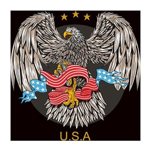 Hawk with American flag 3x5ft fabric cool home decorate gift flag