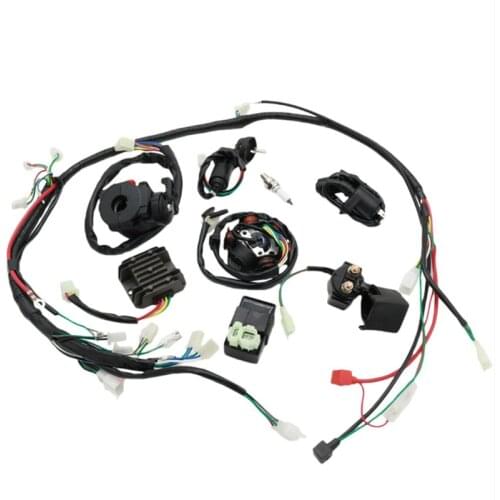 125cc 150cc 200cc 250cc Dirt Bike ATV QUAD ELECTRICS Zongshen Lifan Ducar Razor CDI Wire Harness Stator Assembly Wiring