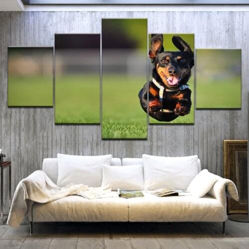 Canvas Paintings Home Decor 5 Pieces Cute Black Retriever Posters HD Prints Animal Dog Pictures Living Room Wall Art Framework
