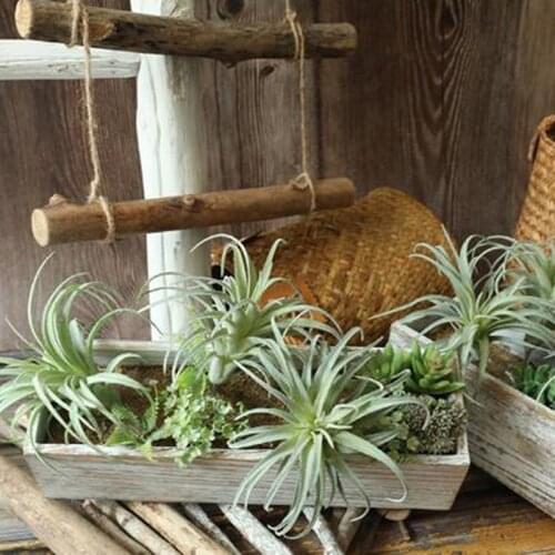 Artificial Pineapple Grass Air Plants Fake Flowers As Home Wall Decoration