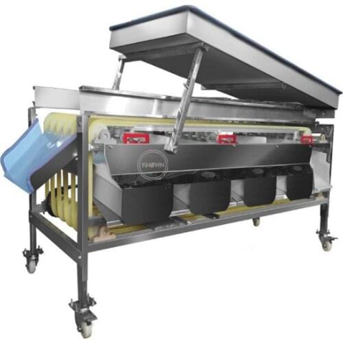 Fruit Vegetable Grading Equipment Megaplant Onion Track Sorting Grader Machine Date Palm Apple Olive Roller Sizing Machine