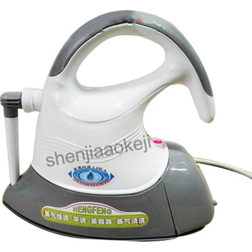DWF-A8 Household Steaming cleaning machine Multifunctional Steam Iron Brush Cleaner Hand-held perm machine 220v 750W 1pc