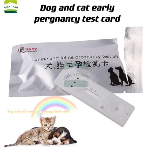 Dog pregnancy test paper pet pregnancy test kit dog cat early card breeding equipment Pet supplies hospital new