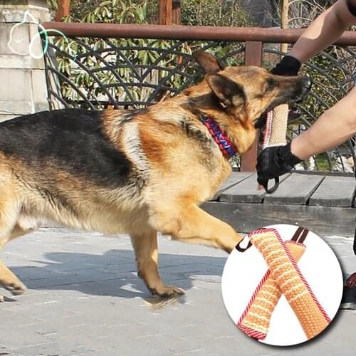 Dog Toys Training for Large Dogs Toys Training Set Whip Safety Protection Sleeve Educational Toy for Dog Accessories Supply