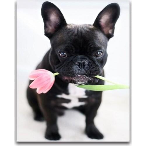 Full square Diamond Mosaic tulip puppy 5D Diy Diamond Painting Cross Stitch flower black dog Diamond Embroidery french bulldog