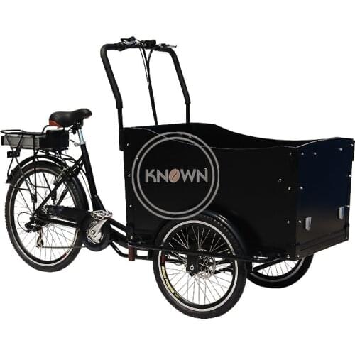 Electric Adult Tricycle Family Cargo Bike Aluminium Frame 6 Gear Speeds Drift Trike for Grocery Shopping and Children Transport