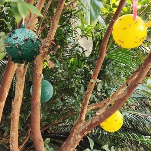 1pc Hanging Fly Trap Ball Fruit Fly Catcher Sticky Trap Outdoor Flying Insect Trap