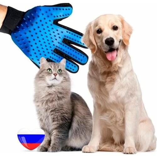 FOSKA Products For Cats