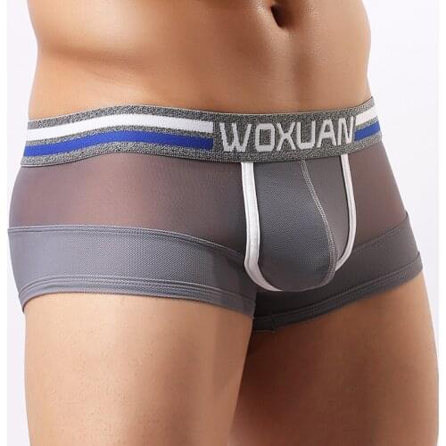 Summer Mesh Sexy Men Boxer Shorts Solid Boxers Underpants Homme Youth Breathable Mens Underwear Bikini Panties