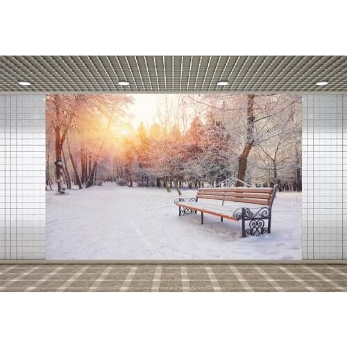 Lyavshi Winter Sunshine Pine Forest Park Chair Snowfield Nature Scenic Photocall Baby Photographic Background Photo Backdrops