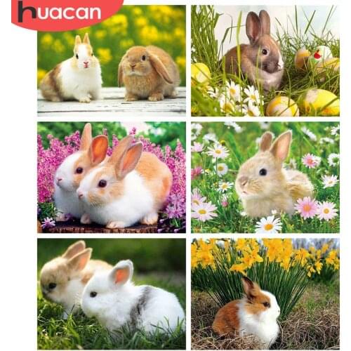 HUACAN 5d Diamond Painting Rabbite Wall Art Craft Kit DIY Diamond Embroidery Animal Mosaic Spring Home Decor Handmade Gift