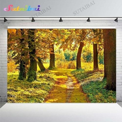 Photographic Background Autumn Maple Fallen Leaves Forest Fall Scenery Vinyl Backdrop Photo Studio for Wedding Children Portrait