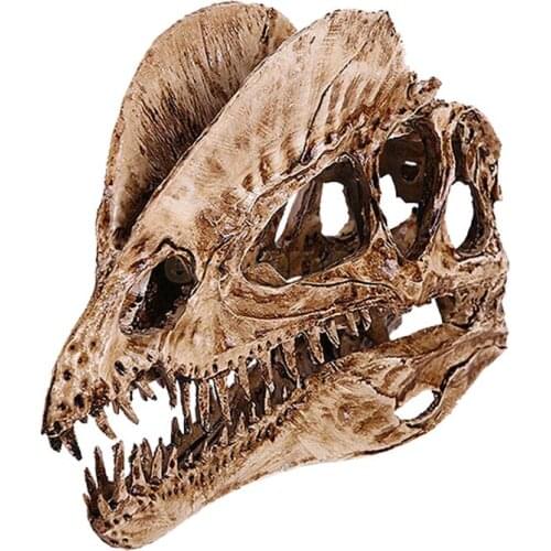 Rs Dinosaur Skeleton Model Decor Dinosaur Skull Simulation Fossil Jurassic Home Resin Garden Decals Decoration