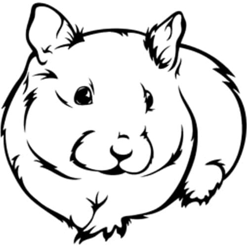 14cm*13.8cm Guinea Pig Pet Hamster Rodent Mouse Rat Vinyl Car Sticker Black/Silver S3-5937