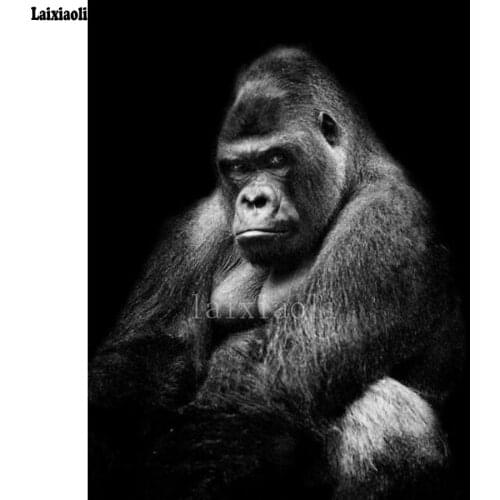 5D DIY full round/square Diamond Embroidery Apes Orangutan Chimpanzee Monkey Diamond Painting Cross Stitch mosaic Home Decor art