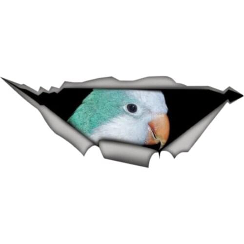 Creative Animal Blue Parrot Waterproof Car Styling Decoration Door Body Window Vinyl Colorful Funny Auto Sticker Kk13*5cm