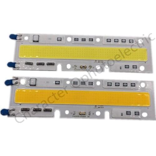 5Pcs Led COB Lamps AC 220V 110V Light 100W With Smart IC White / Warm White For Outdoor DIY FloodLight