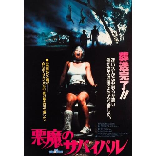 The Zero Boys Japanese MOVIE Art print Silk poster Home Wall Decor