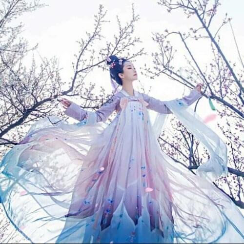 Hanfu Womens Dress Tops Chest Skirt Tang Dynasty Cosplay Dance Ancient Costume Chinese Style Autumn Winter Suit