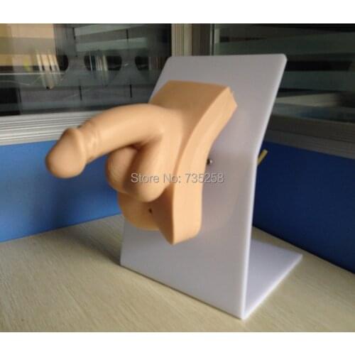 Catheterization Training Simulator(Male),Male Urethral Catheterization Practice Model