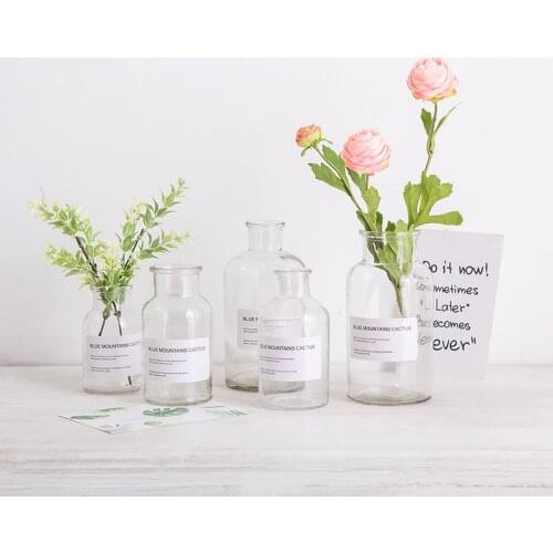Ins reagent bottle glass vase water culture green radish flower dry flower Desktop Decoration Kit