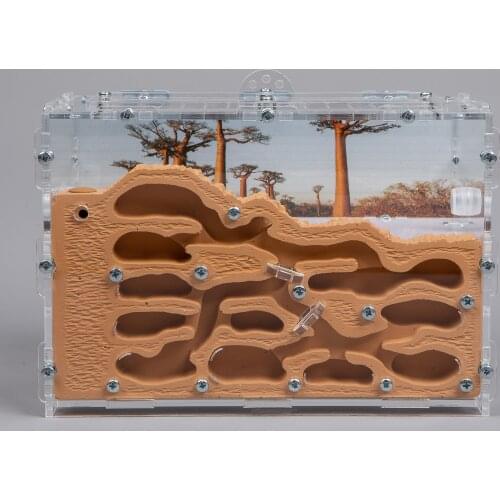 AntsRussia Products For Beekeeping