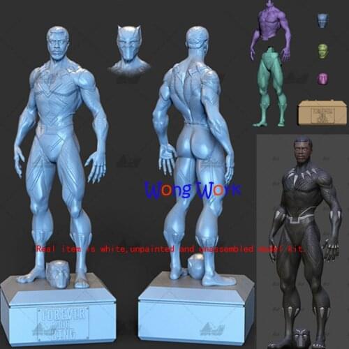 Wong Work Unpainted 1/6 Scale 36cmH 3D Printing Unassembled Garage Kits GK Model Kit Figure Statue TTG-210513-18