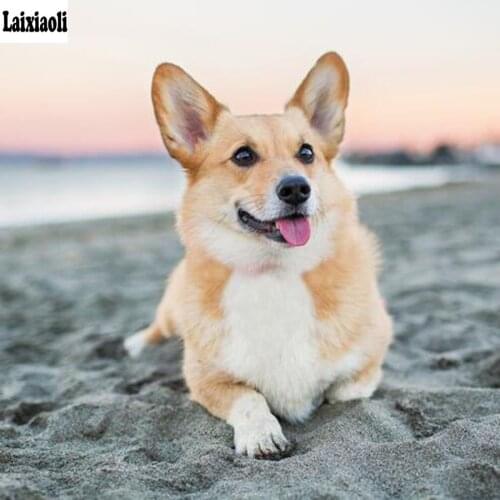 Pet DIY Diamond Painting cross stitch Welsh Corgi Dog Full square/round drill 5d Diamond Embroidery Mosaic Picture of rhinestone