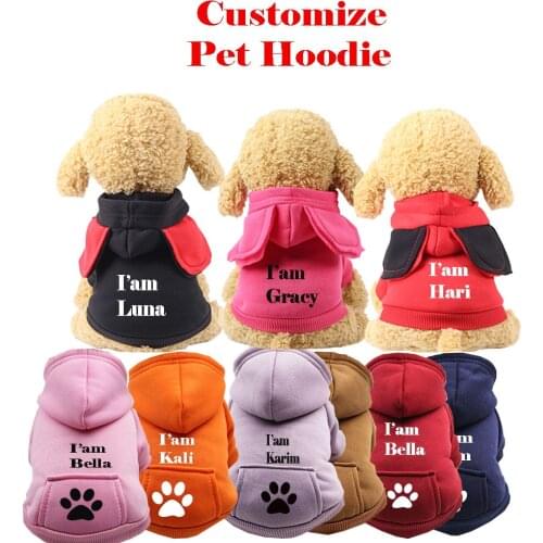 Personalized Pet Clothes Autumn Winter Sweater Pocket Hoodie Sports Wind Dog Cat Clothes Pet Supplies For Small Medium Large Pet
