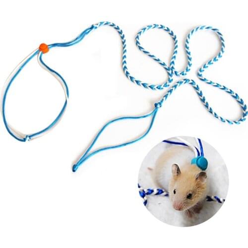 Legendog 1pc Hamster Leash Multi-Purpose Small Animal Leash For Ferret Squirrel Guinea Pig Pet Supplies Random Color